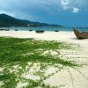 Son Tra peninsula – Da Nang