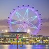 docklands-melbourne-star_mel_r_1453641_1150x863