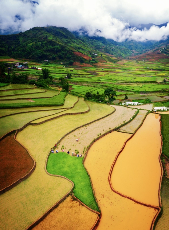 Mùa nước đổ trên ruộng bậc thang Tú Lệ và Mù Cang Chải