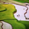 mua-nuoc-do-tren-ruong-bac-thang-tu-le-va-mu-cang-chai-1219-2