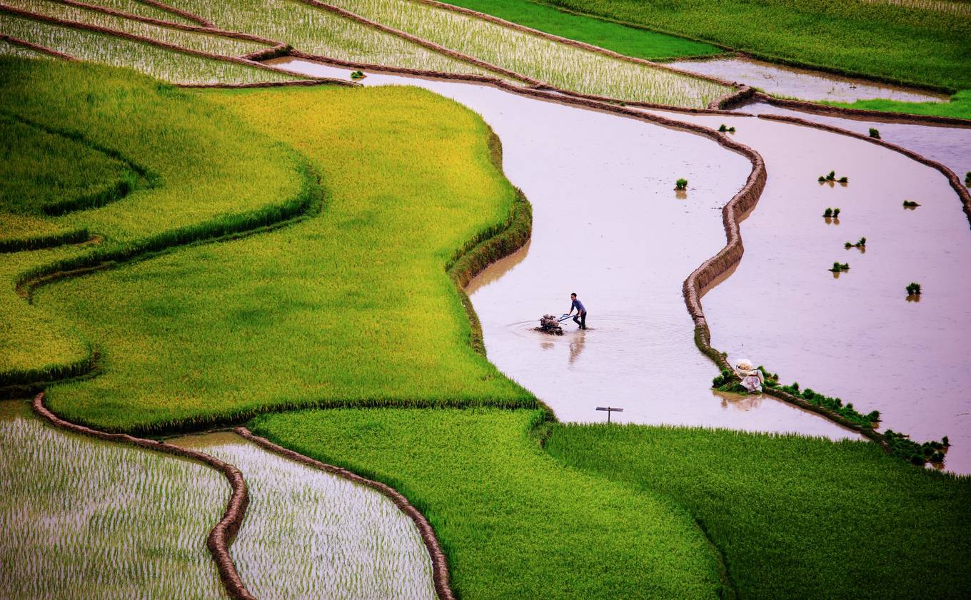 Mùa nước đổ trên ruộng bậc thang Tú Lệ và Mù Cang Chải