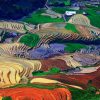 mua-nuoc-do-tren-ruong-bac-thang-tu-le-va-mu-cang-chai-1219-6