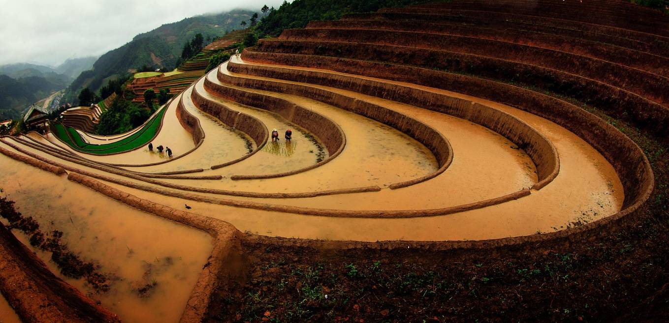 Mùa nước đổ trên ruộng bậc thang Tú Lệ và Mù Cang Chải