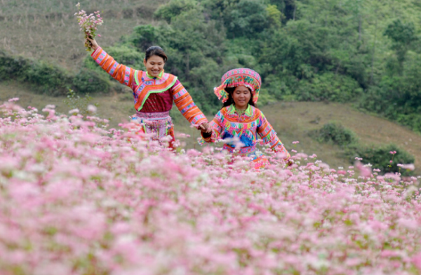 Hình ảnh có liên quan