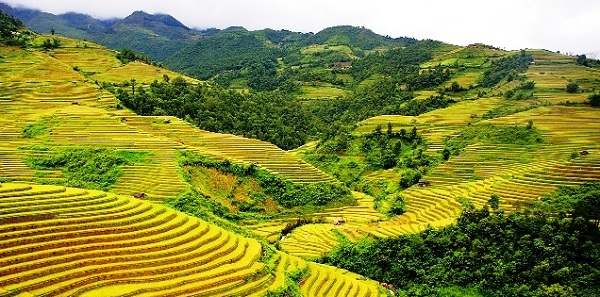 Tour miền Bắc 5 ngày